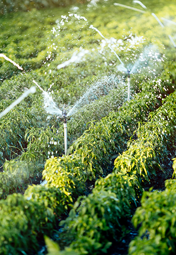 commercial propane gas services farm in bedford county virginia irrigation system